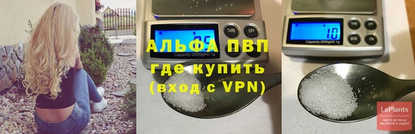 PSILOCYBIN Богданович