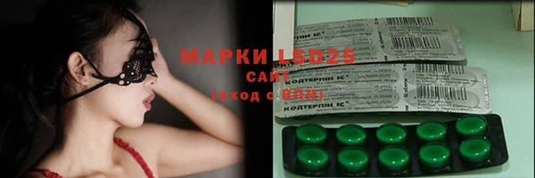 PSILOCYBIN Богданович