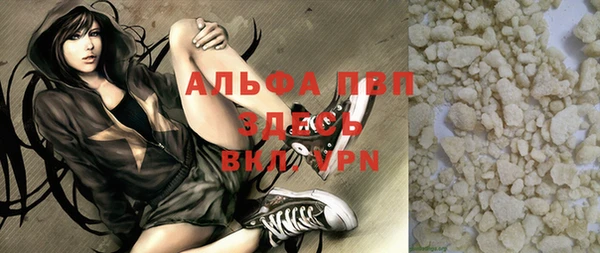 PSILOCYBIN Богданович