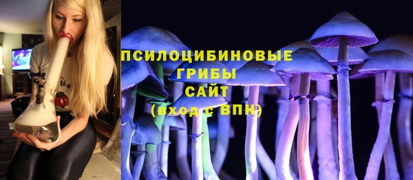 экстази Богородск