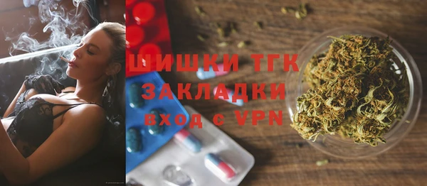 PSILOCYBIN Богданович